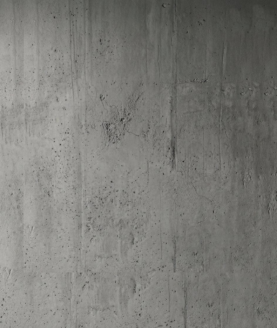 Brüt Beton Panel